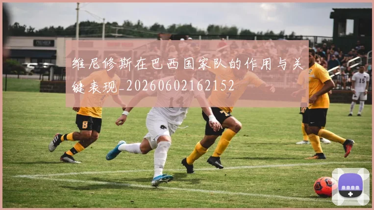 维尼修斯在巴西国家队的作用与关键表现_20260602162152