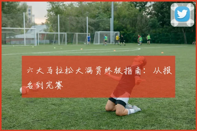 六大马拉松大满贯终极指南：从报名到完赛